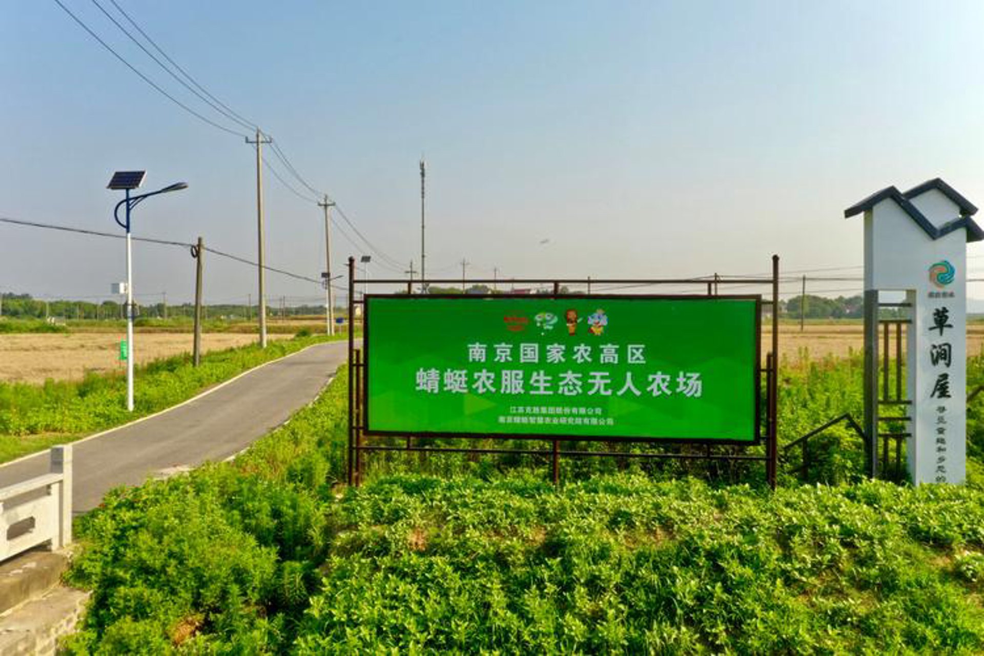 三只蜻蜓教育